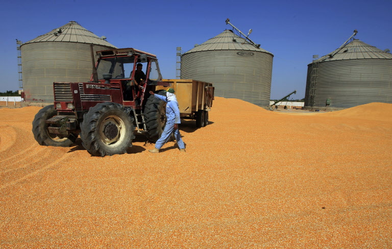 Egypt-UAE loan deal to finance wheat purchases