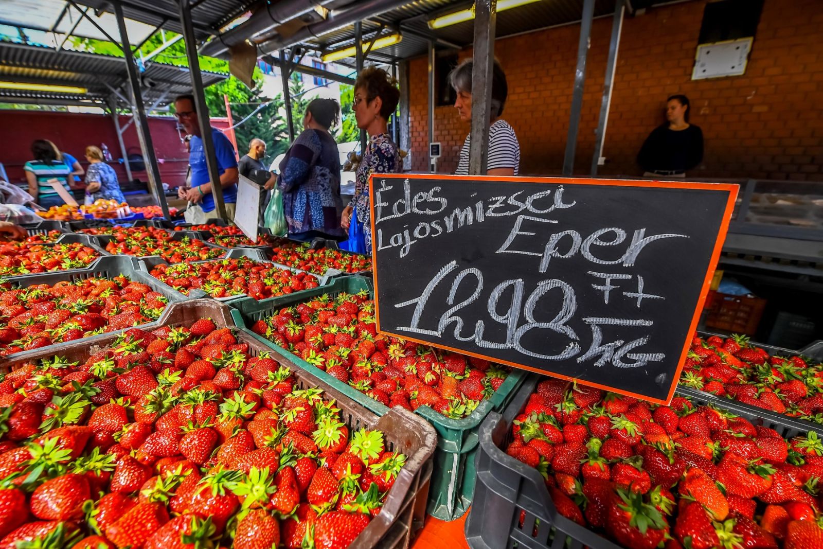 Hungary cut interest rates to boost economy