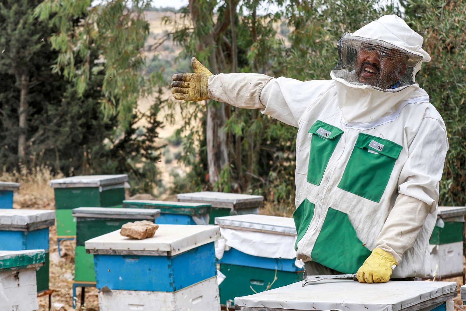 Jordan’s beekeeping, honey makers find fortune in COVID, post-pandemic