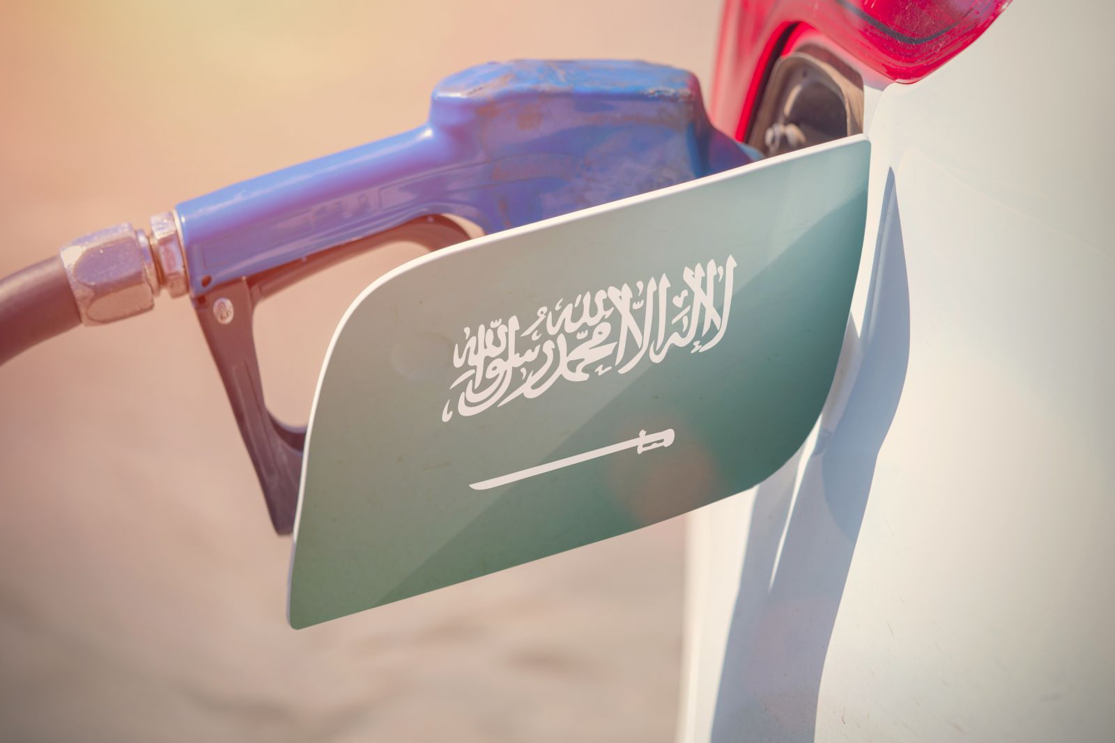 Saudi fuel subsidies exceeded those of G20