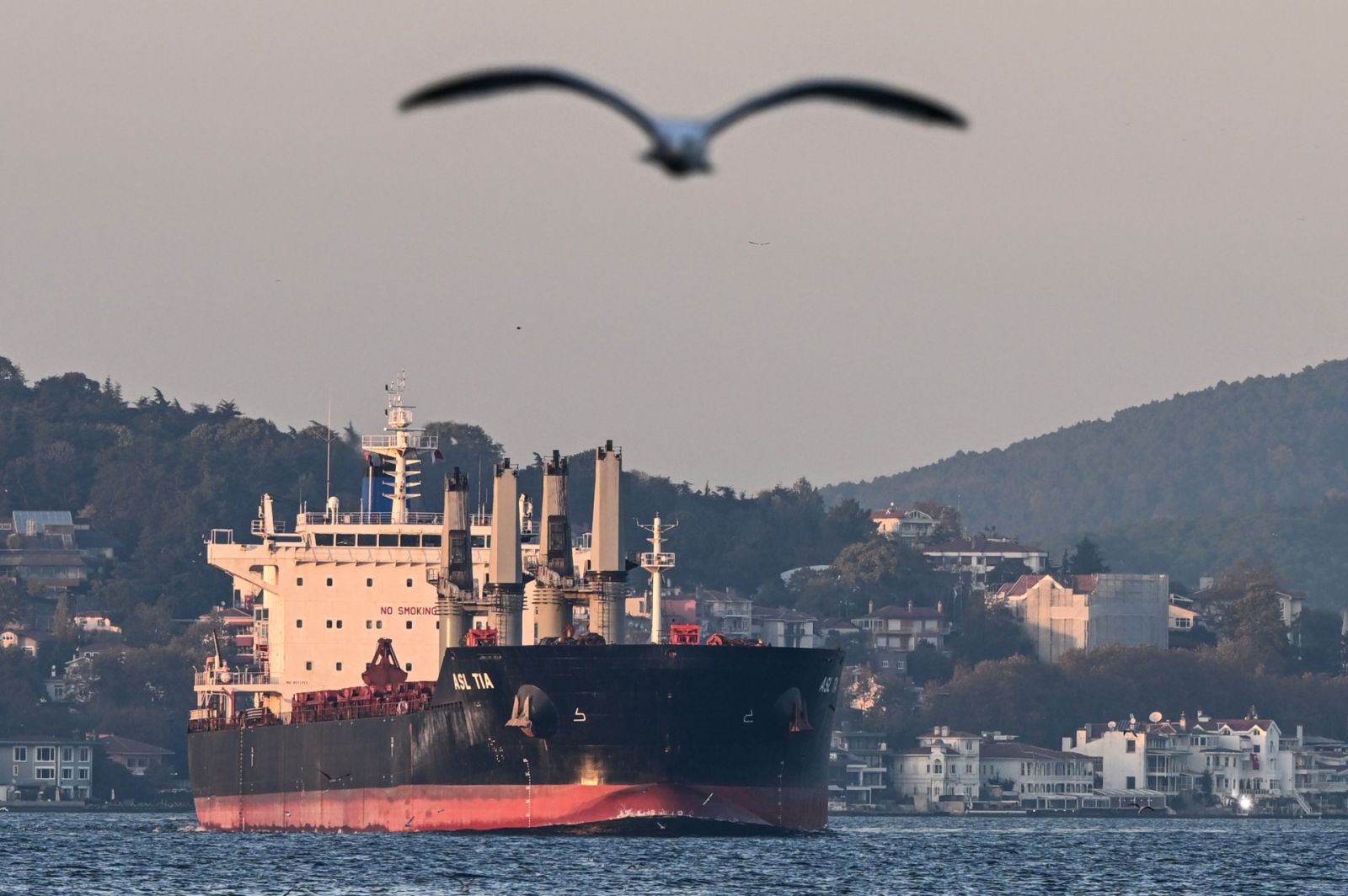 Russia declares Ukraine grain deal over, unless...
