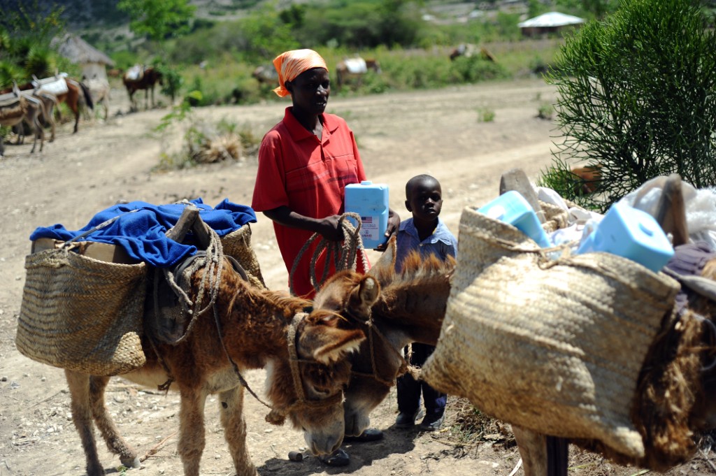 Funding shortfalls UN WFP aid cuts in Haiti, Syria and Jordan