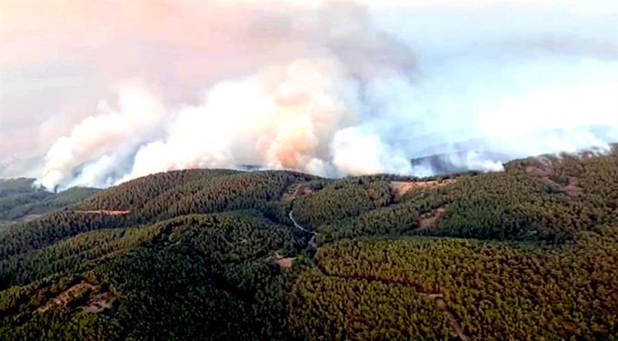 türkiye yangın turkey fire burning