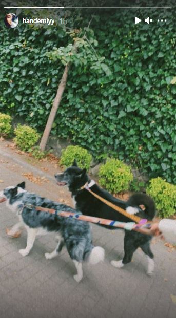 Sonbahar Mevsimi Hande Erçel and Kerem Bürsin dog walking köpek yürüyüşü