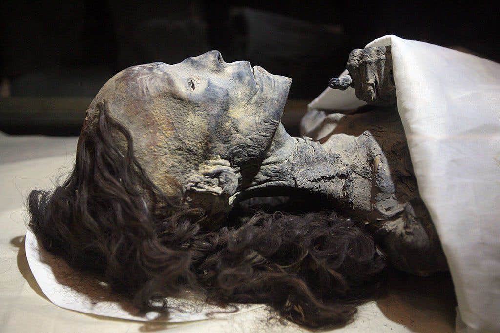 dark secrets about Queen Tiye Hair 