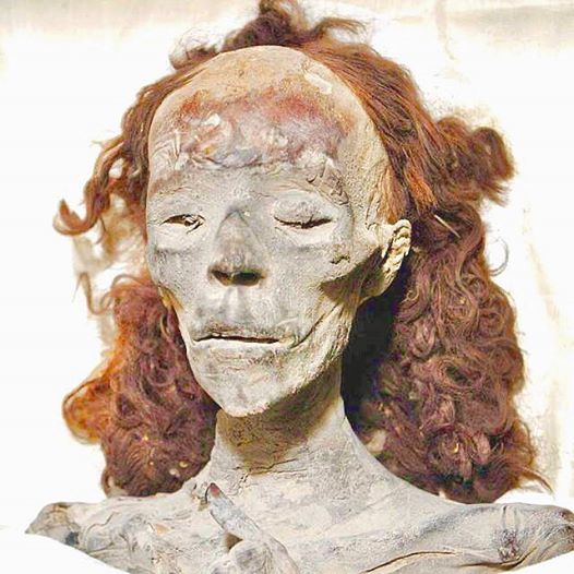 who is Egyptian Queen Tiye hair mummy Pharaos mummification embalmed 