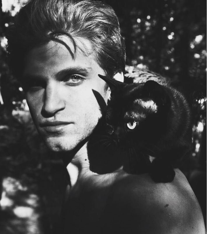 Black cat