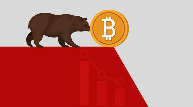 نصائح للتعامل مع توتر السوق الهابط للعملات الرقمية