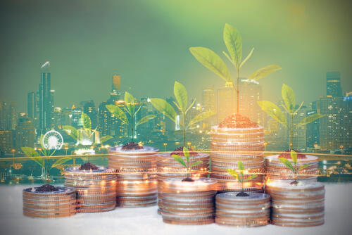 8 Eco-Friendly Crypto Companies Actively Making a Difference