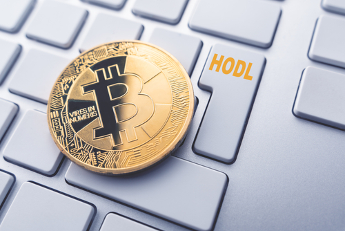 What are the different types of crypto bagholders?