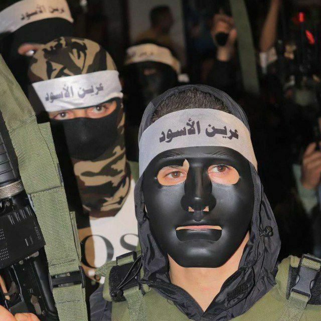 ""عناصر في مجموعة عرين الأسود