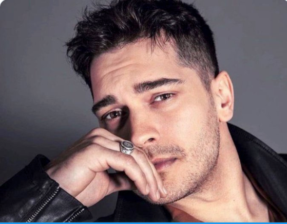 الطائر الرفراف