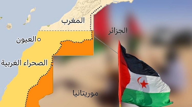 "الصحراء الغربية"