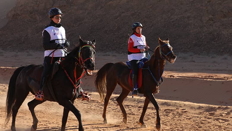مهرجان شتاء طنطورة