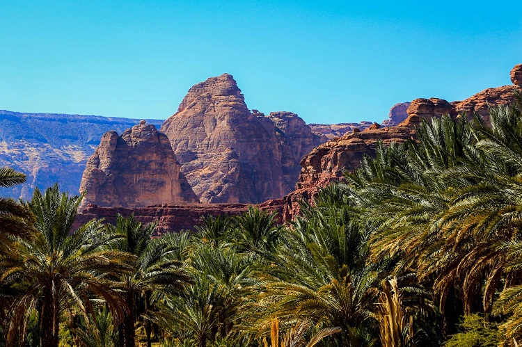 واحة العلا