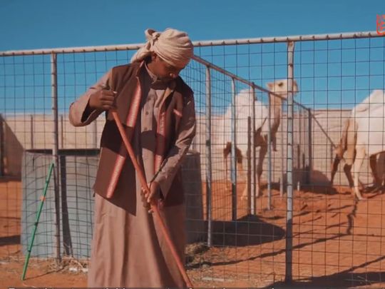 فندق للابل في السعودية