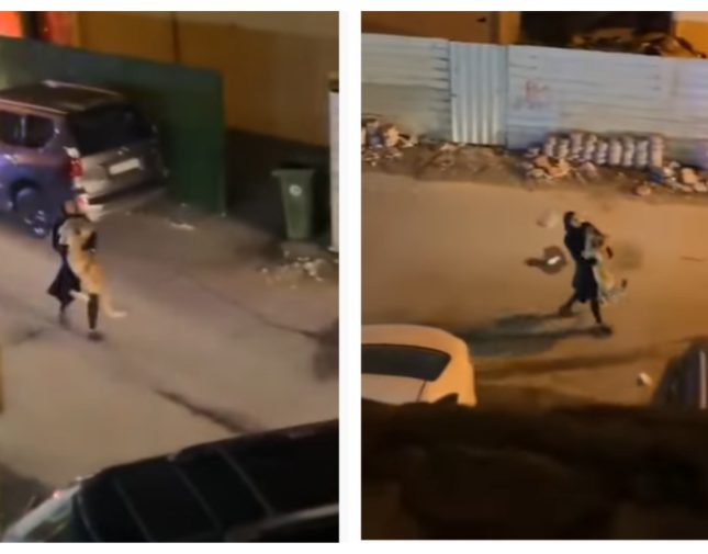 فتاة تلقي القبض على أسد في الكويت