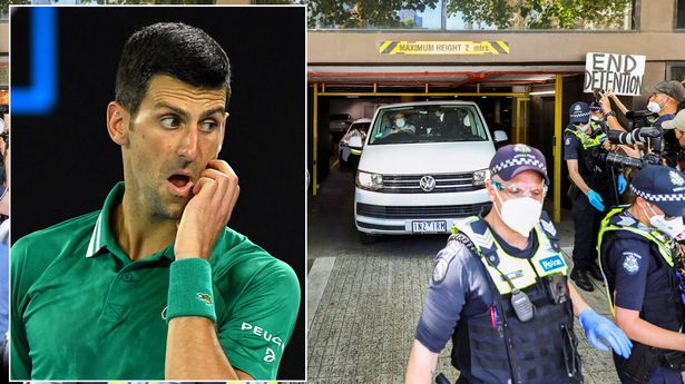 نوفاك ديوكوفيتش