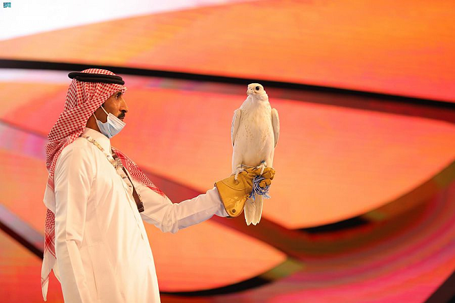 صقر كندي