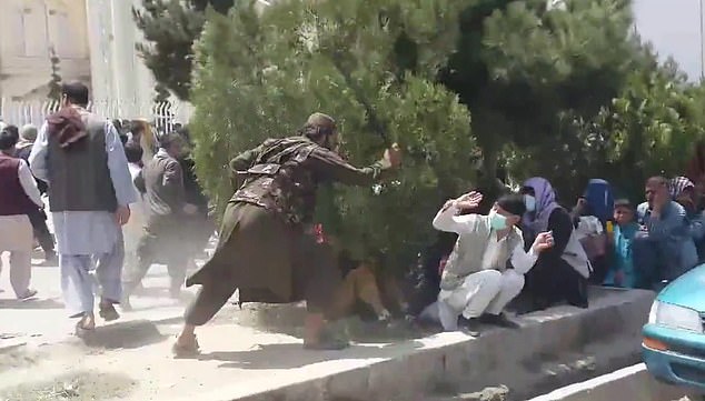 حركة طالبان