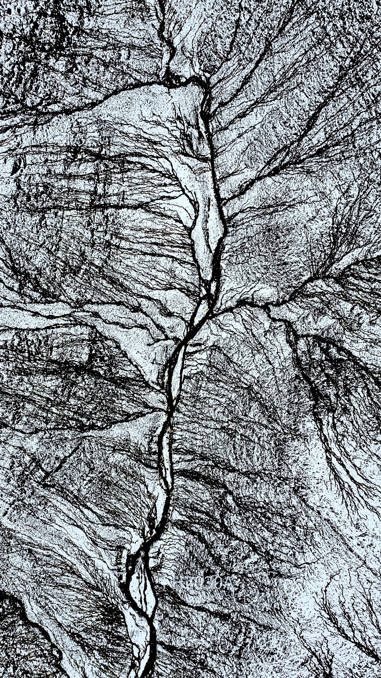 "جبل اللوز"