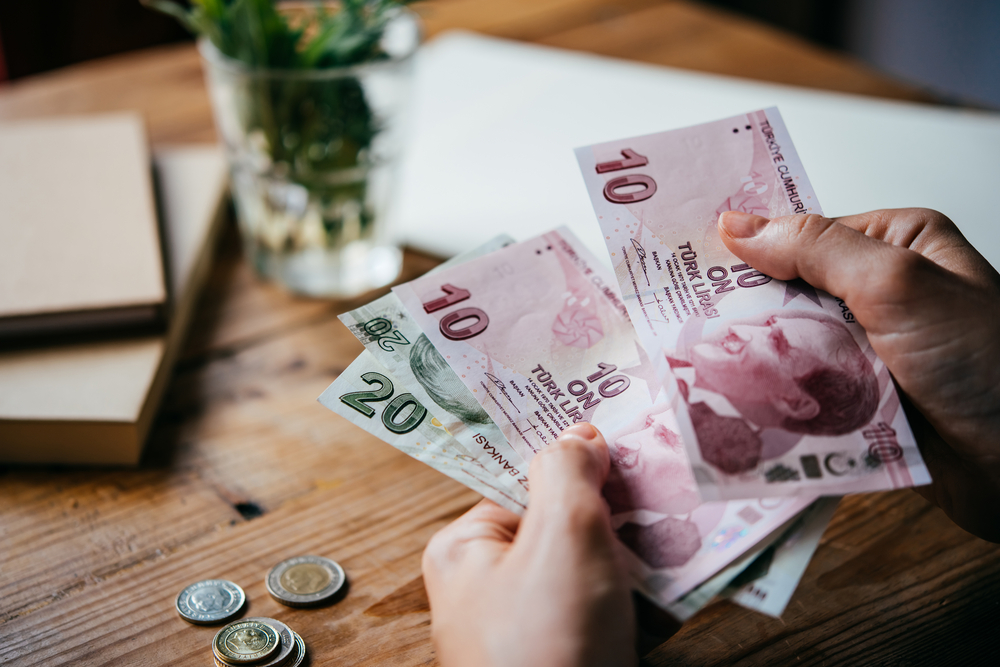 Turkey's inflation rate jumps to 65%