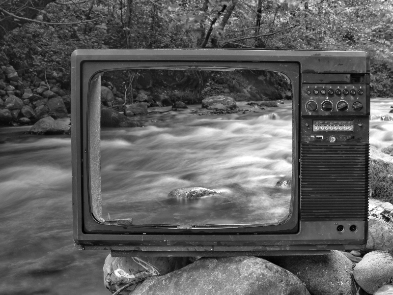 4 موضوعات شائعة في الأحلام وتفسيرها