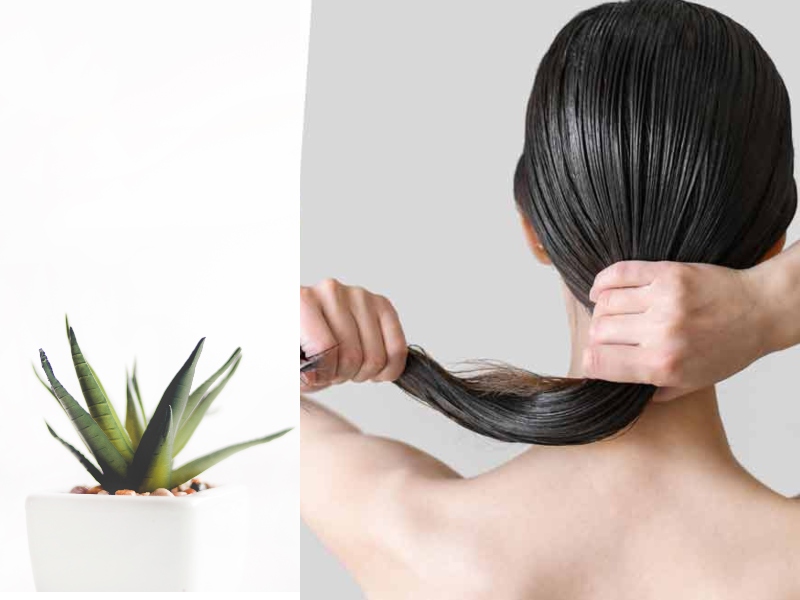 جميلة البوابة: 4 منتجات لزيادة حجم شعرك وفقًا للأيورفيدا