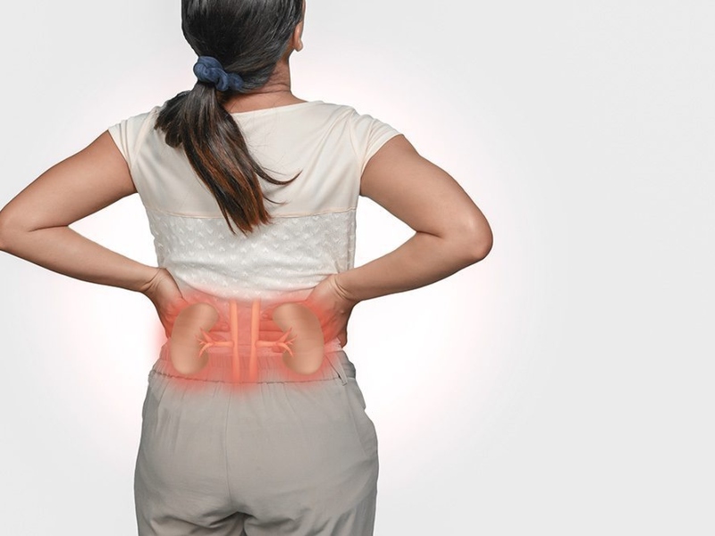 طبيب البوابة: رسائل من الكلى بضرورة زيارة الطبيب