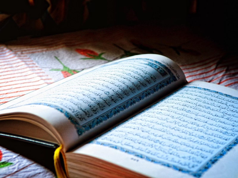 مكتبة البوابة: "تحت راية القرآن" مصطفى صادق الرافعي