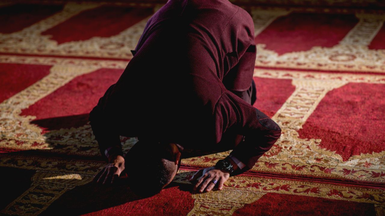 الأسئلة الشائعة