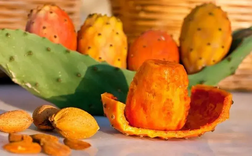 تفسير حلم التين الشوكي الأخضر