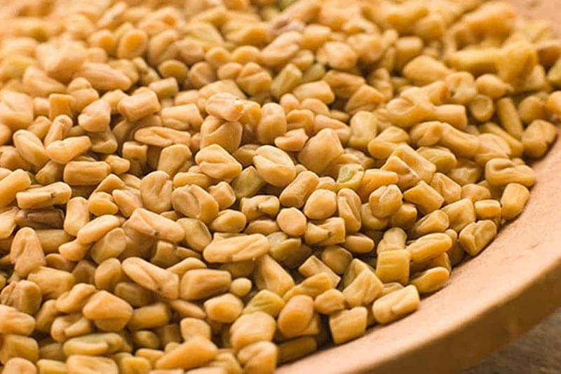 فوائد الحلبة الحصى للتخسيس