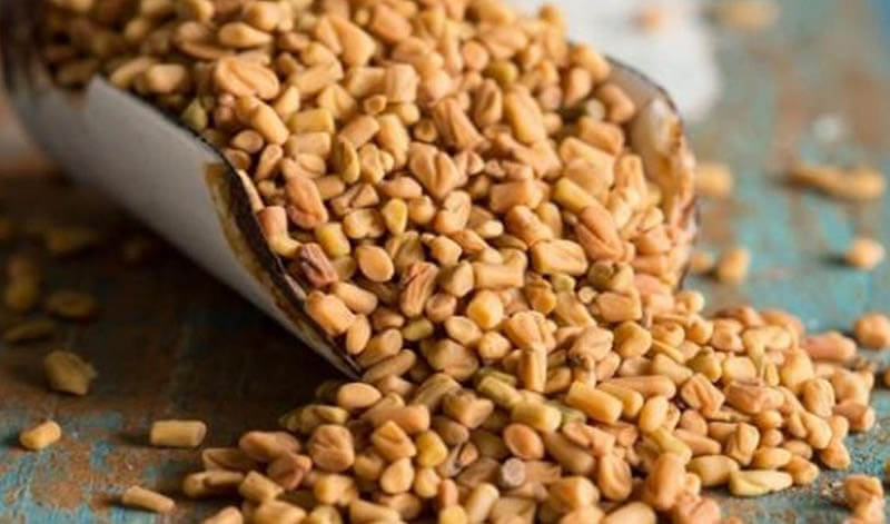 فوائد الحلبة على الريق للكلى