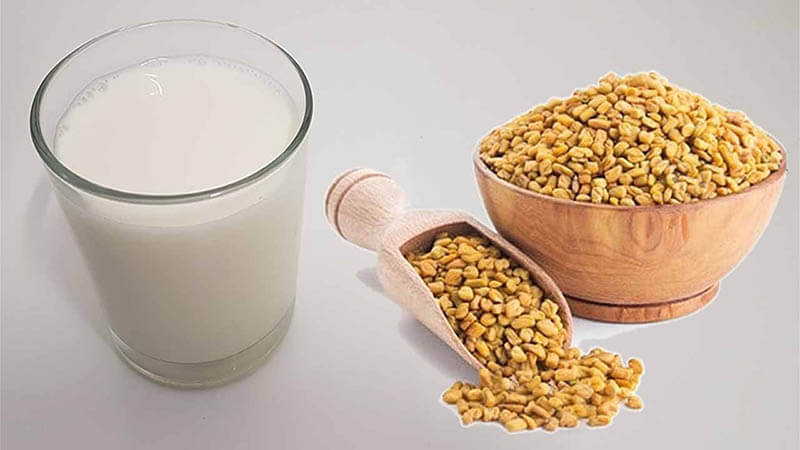 فوائد الحلبة مع الحليب على الريق