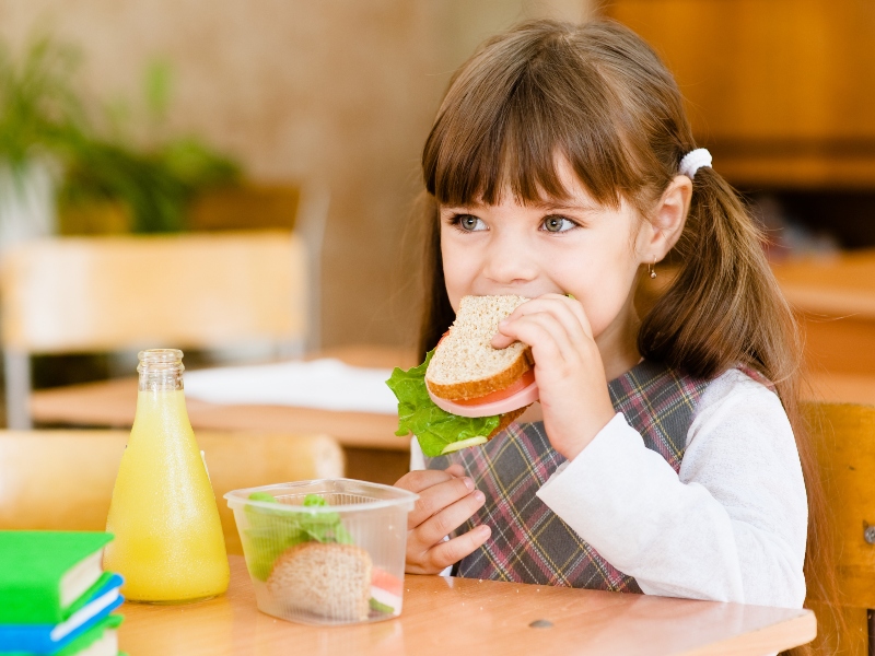 أهمية التغذية الصحية وأثرها على التحصيل الدراسي للطلاب