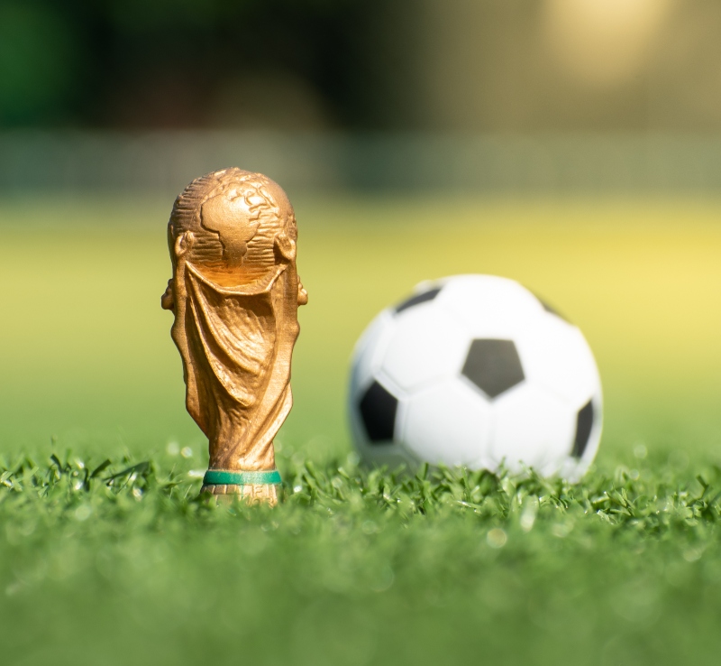 صور عن كأس العالم 2022