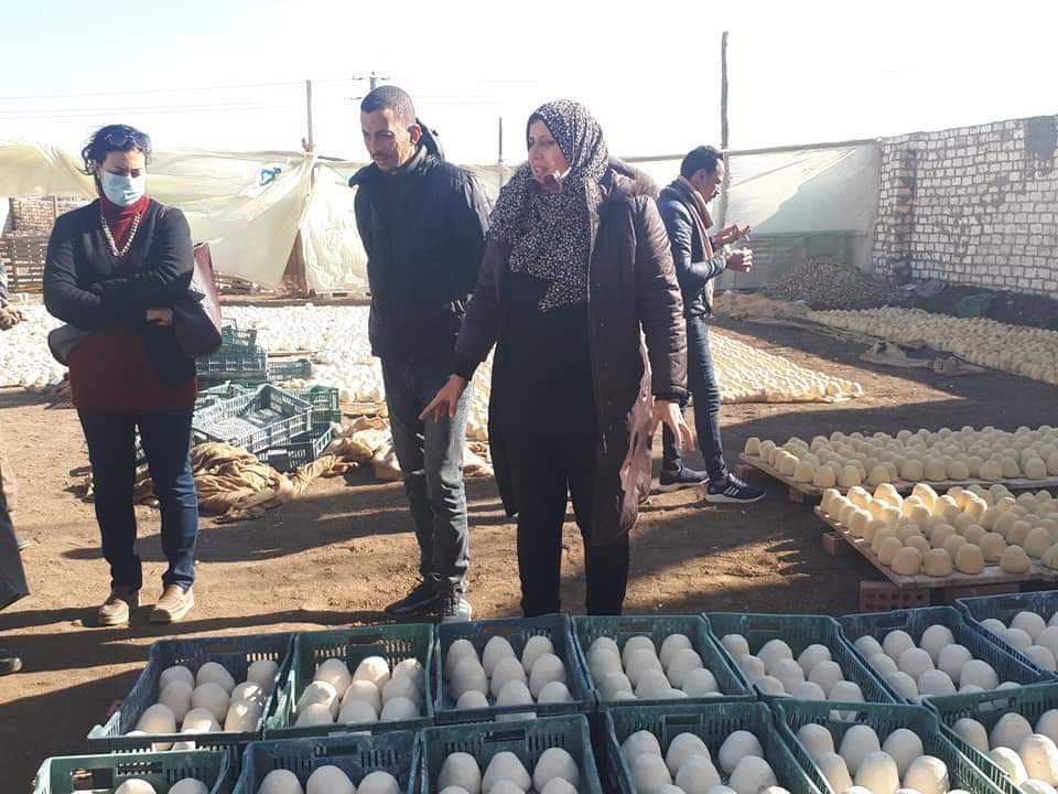 ضبط مصنع لتصنيع الجبن من معجون الحائط