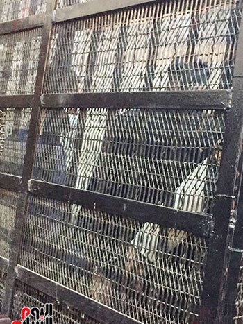 المتهم بارتكاب جريمة الإسماعيلية