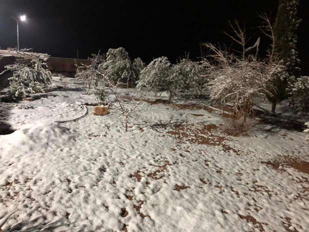 ثلوج في سيناء