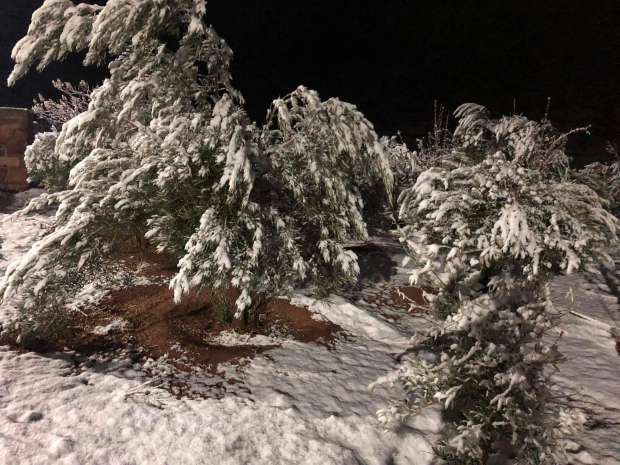 ثلوج في سيناء