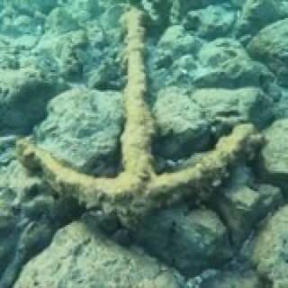 مرسى قديم في البحر