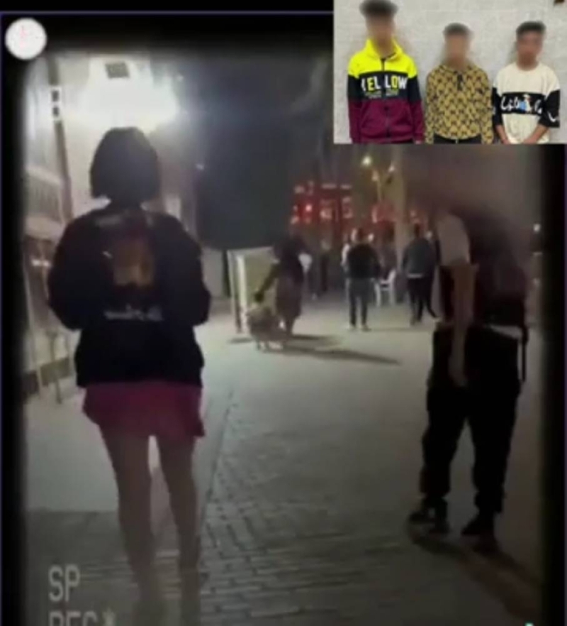 شبان يتحرشون بسائحة أجنبية في القاهرة