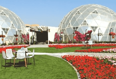 زيارة البيوت البلاستيكية