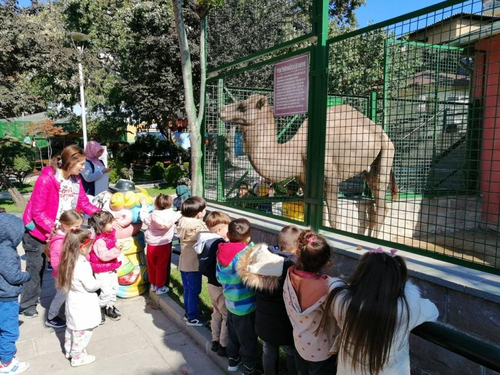 جولات مخصصة