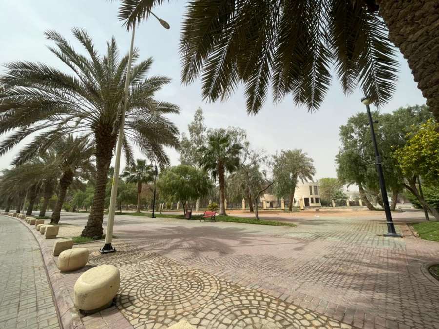حي السويدي