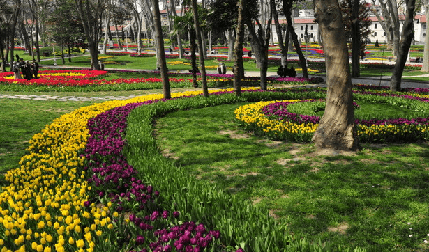أخذ قسط من الراحة