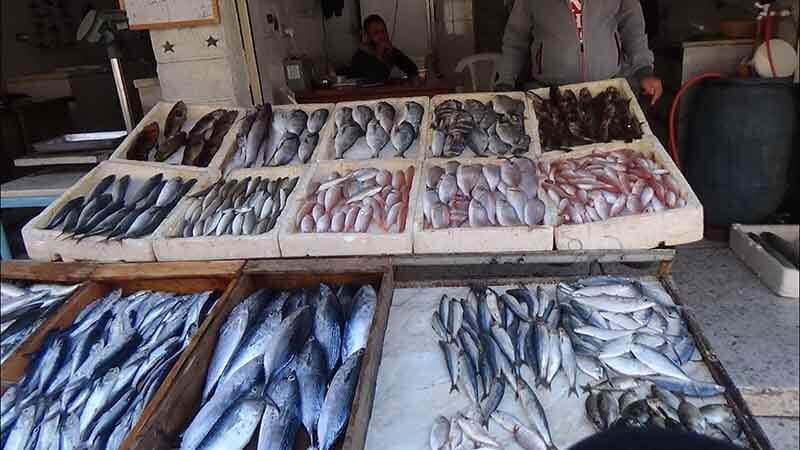 سوق كاديكوي باليك بازار