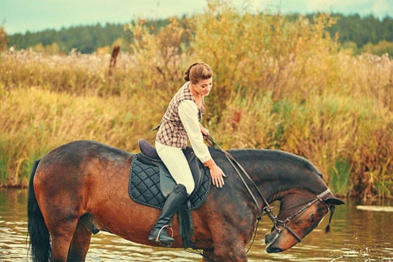 مدرسة الكوز لركوب الخيل Alkuz Horse Riding School