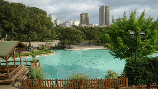 ممارسة المشي